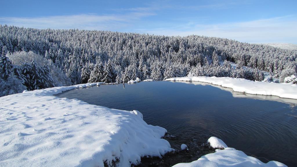 Domaine Du Mas Du Taillet Bed & Breakfast Lanarce Eksteriør bilde